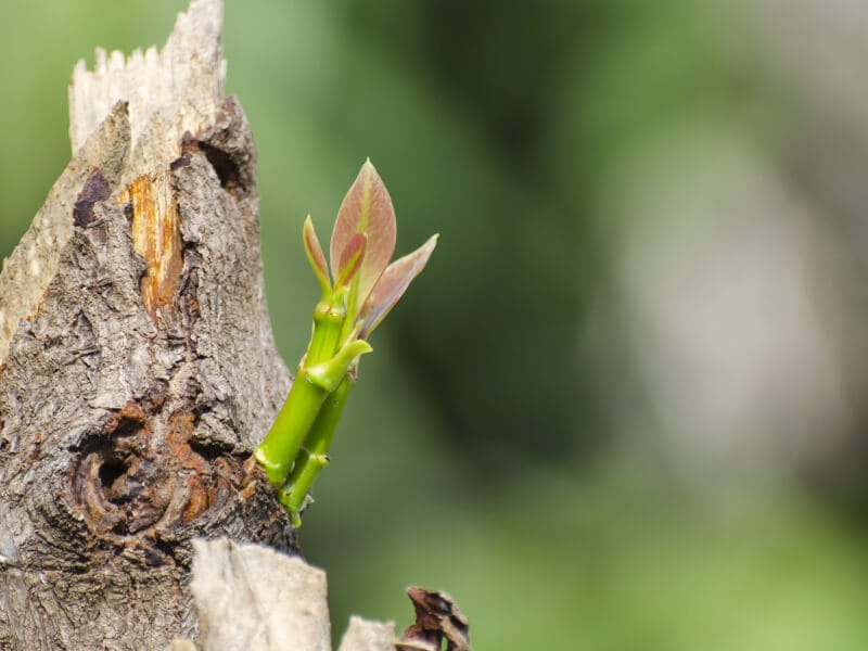 Short-term gains will destroy us all in the long run