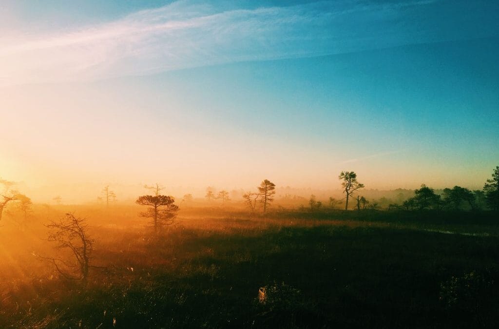 We must regenerate the future for a second chance on Earth