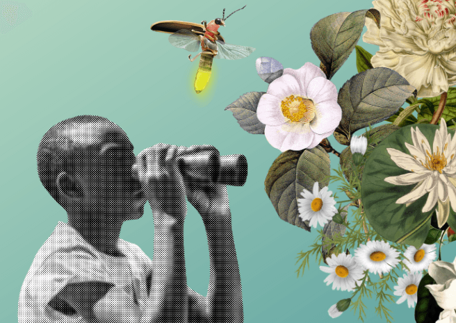 A boy with binoculars looking over a an edited background made up of flowers and a bird.