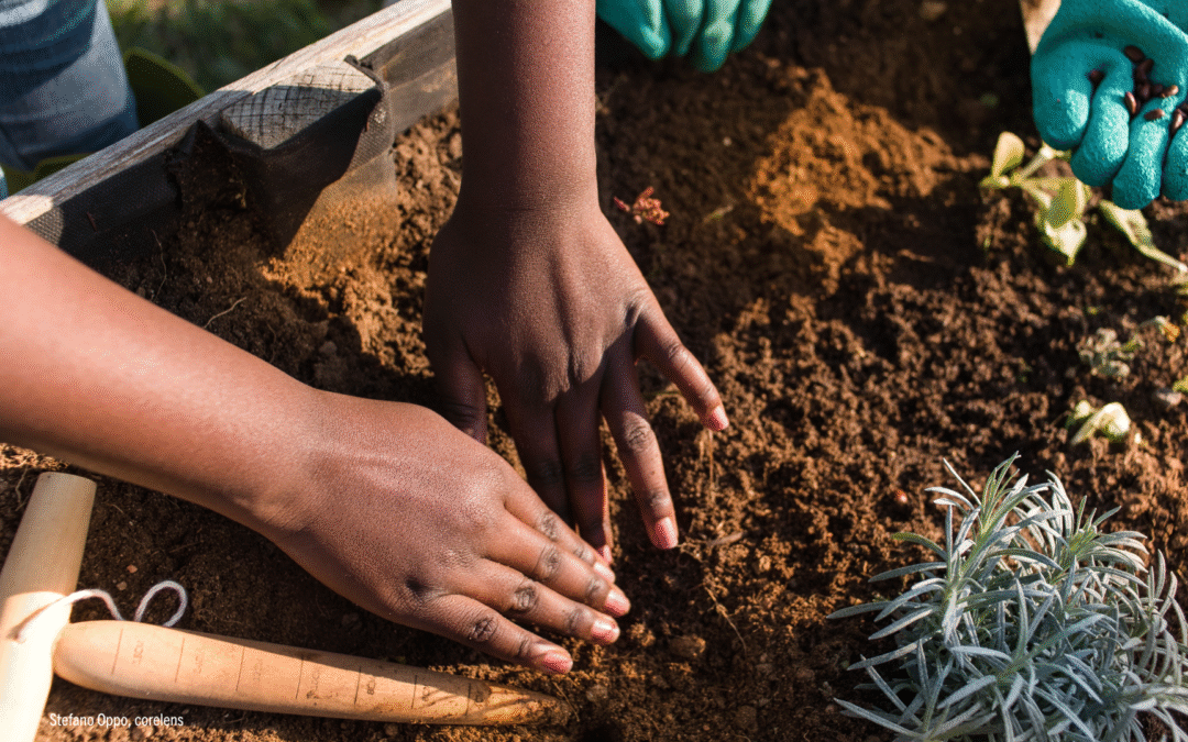 No limits to the hope of changing our challenging world