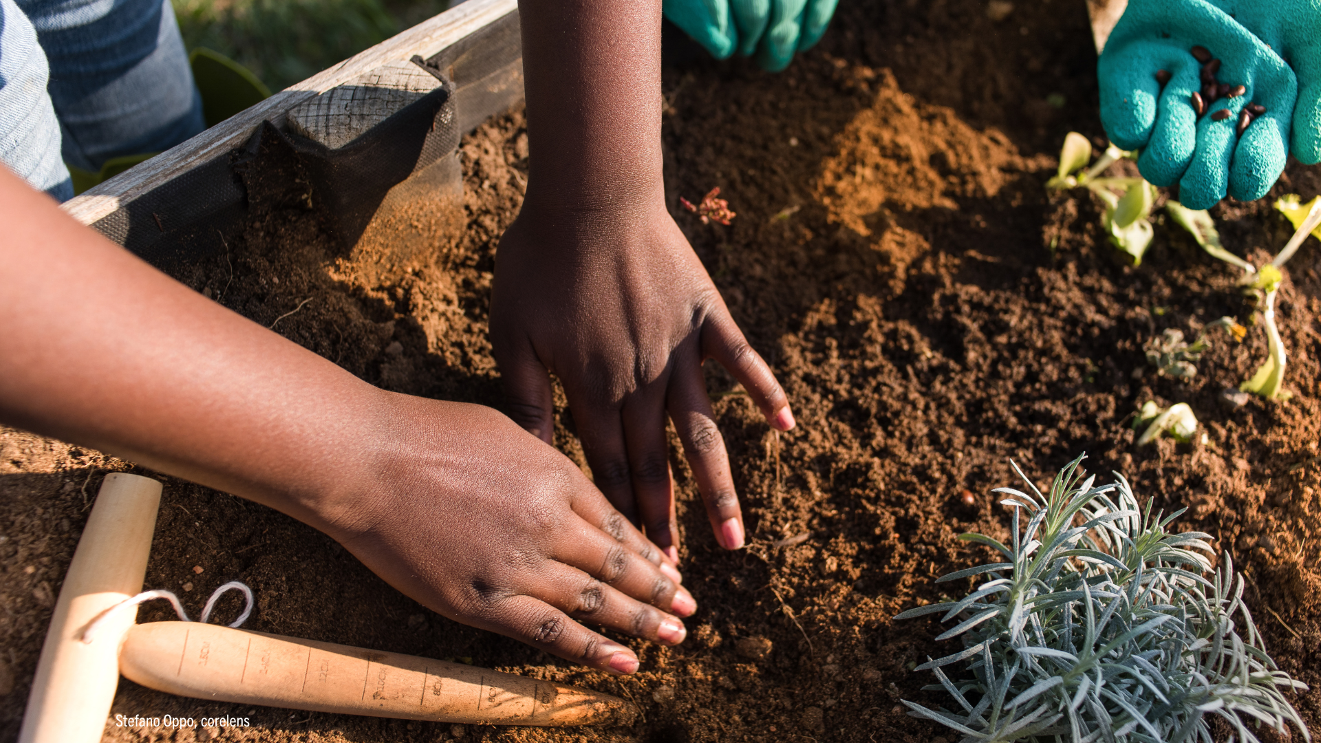 No limits to the hope of changing our challenging world