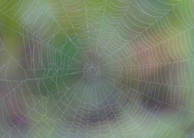 Systems thinking: the key to solving interconnected crises