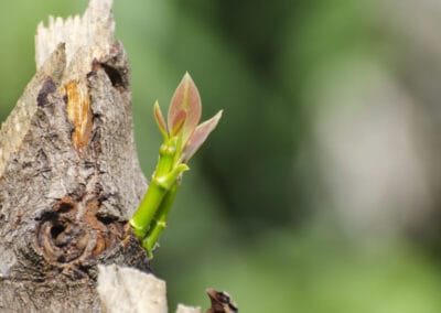 Short-term gains will destroy us all in the long run