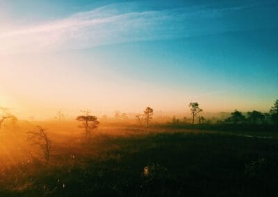 We must regenerate the future for a second chance on Earth