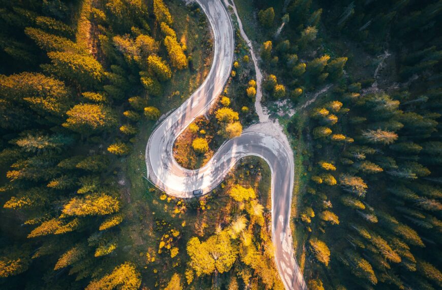 Winding road in the forest