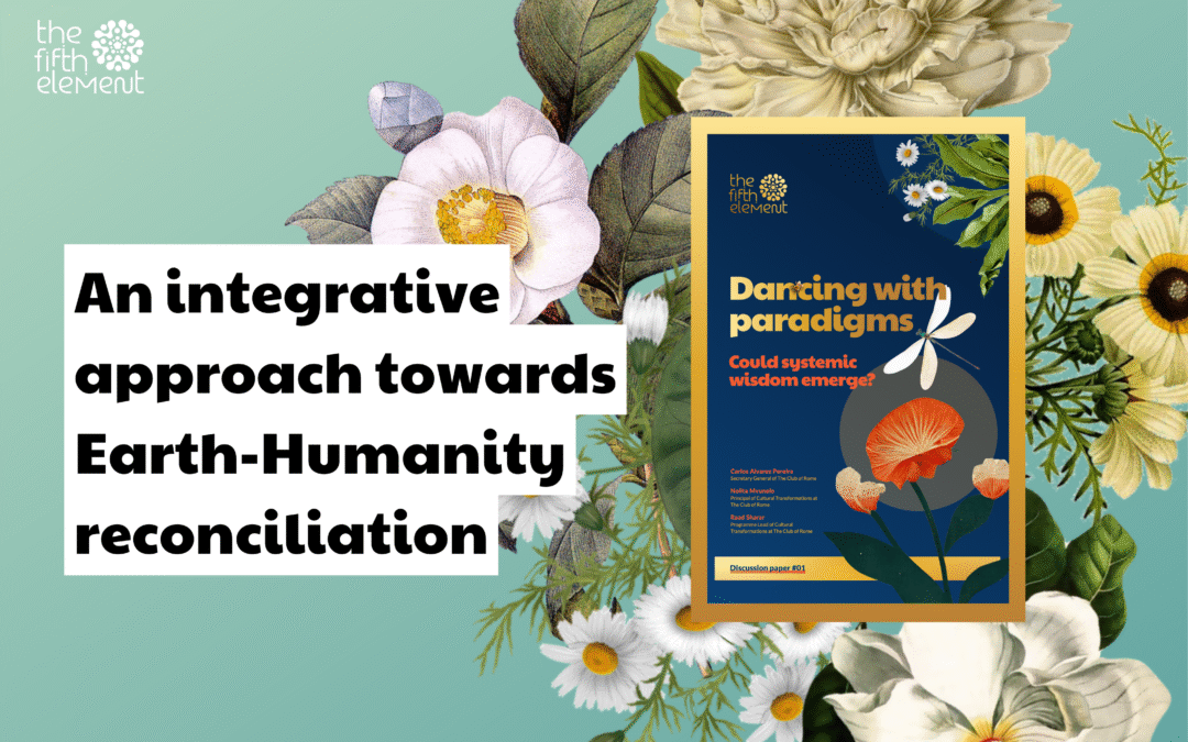 New discussion paper: An integrative approach towards Earth-Humanity reconciliation