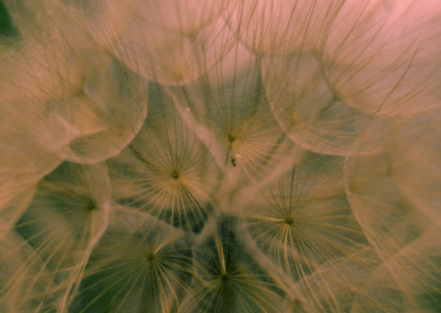 The foundational thinking behind system-level investing 