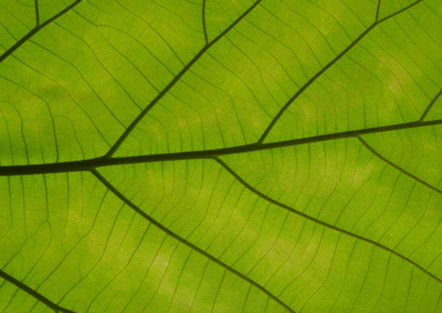 We are at a fork in the road. Will we choose solidarity over fear?