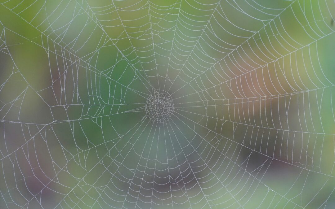 Systems thinking: the key to solving interconnected crises