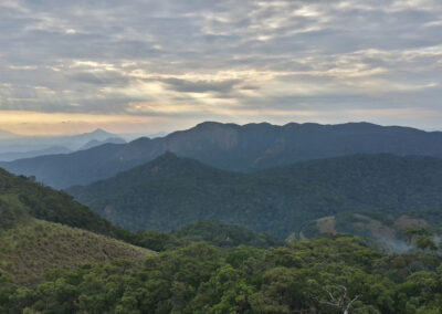 Rethinking environmentalism: Why African ways of knowing matter more than ever