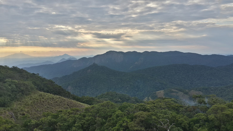 A panoramic view of layered green mountains and forested slopes fading into the distance under a cloudy sky at sunset.