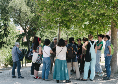 Collaborative artistic practices for building cohesive societies