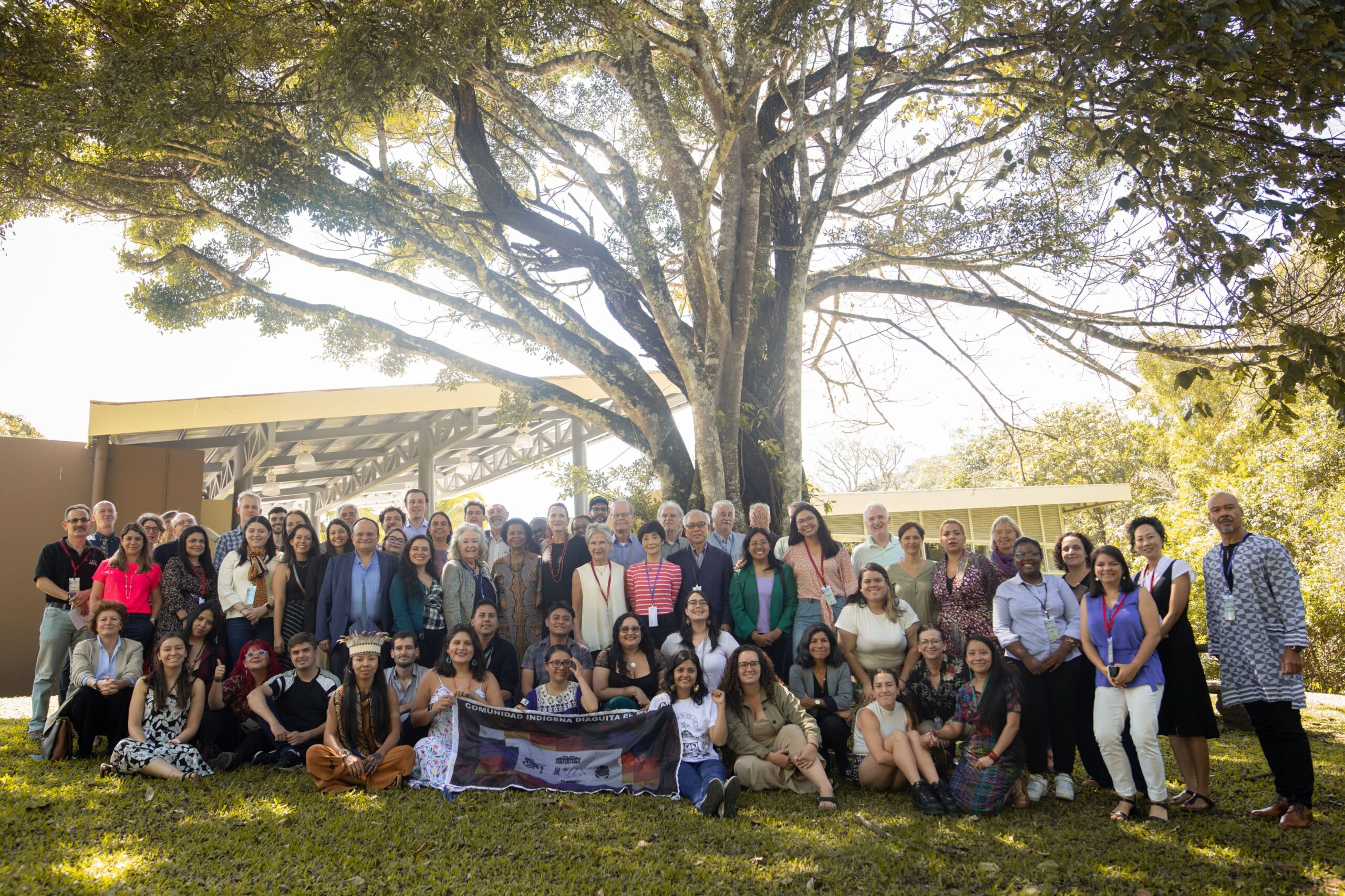 A big group of people in front of a tree