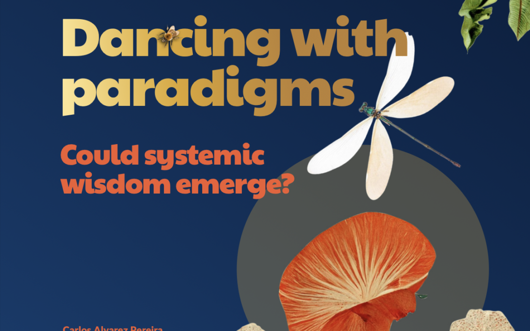 Dancing with paradigms – could systemic wisdom emerge?
