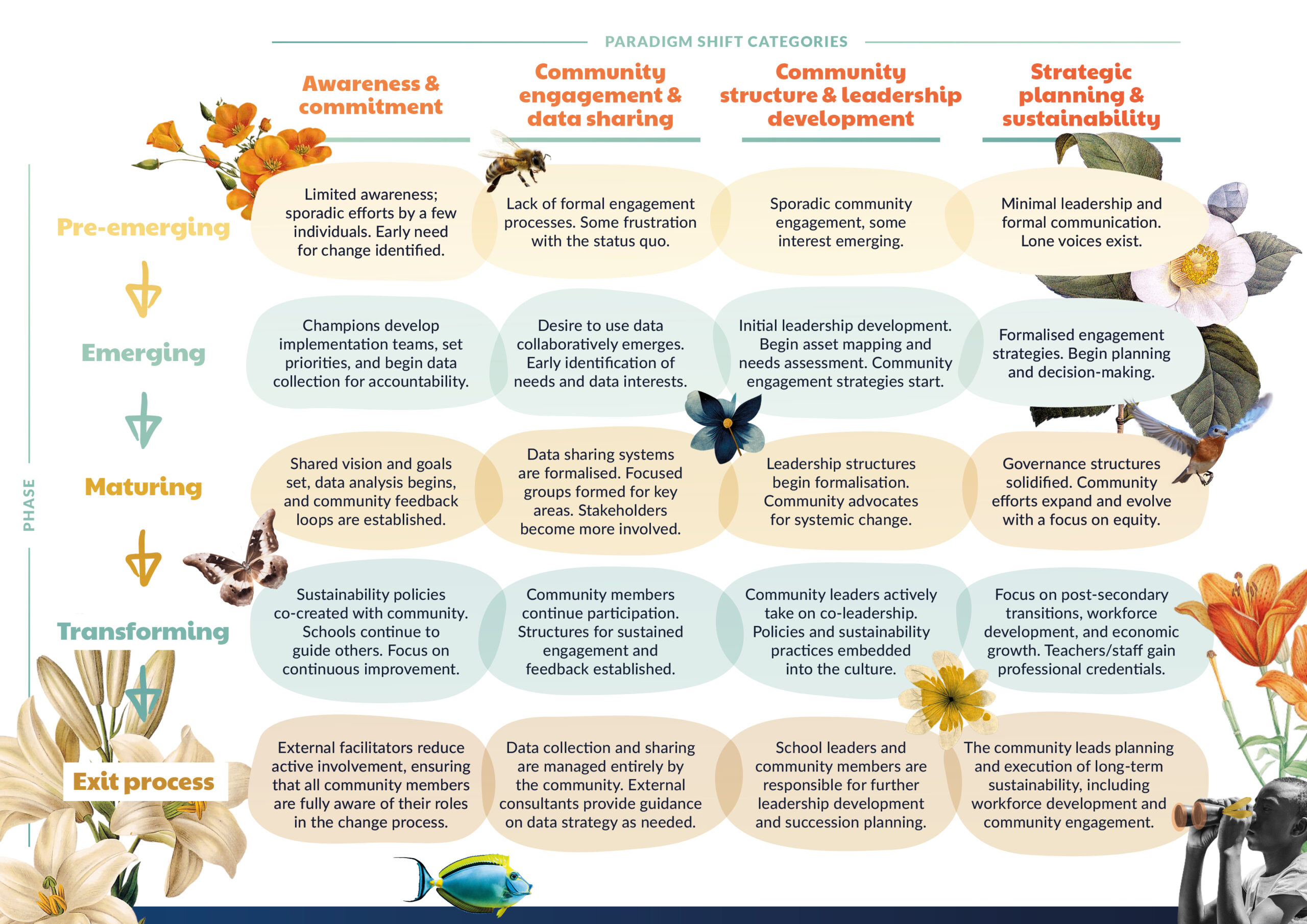 Infographic showing community change phases from pre-emerging to exit across four paradigm shift categories, illustrated with nature motifs.