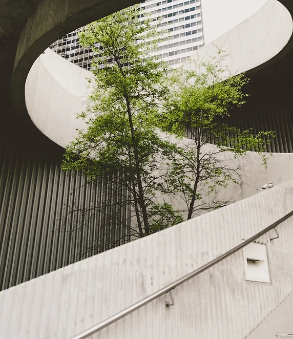 Toward regenerative business