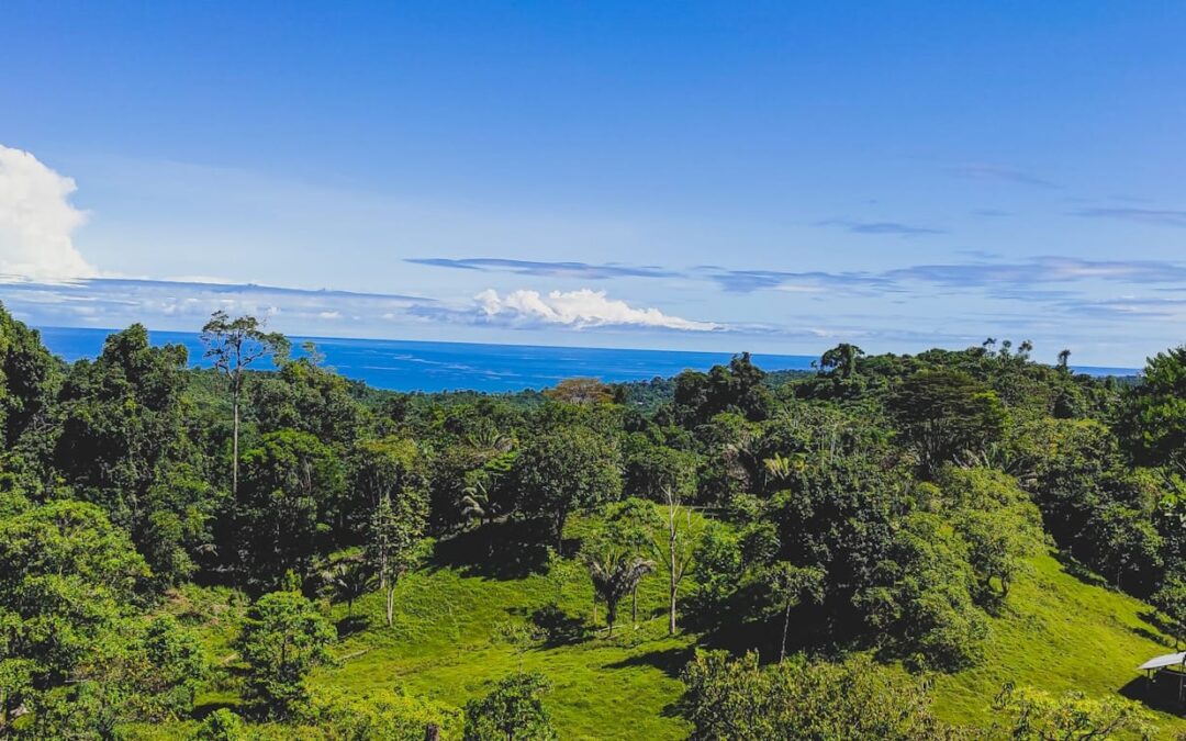 Earth Humanity Coalition