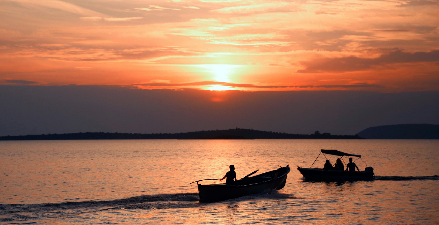 opinion website cards (13)