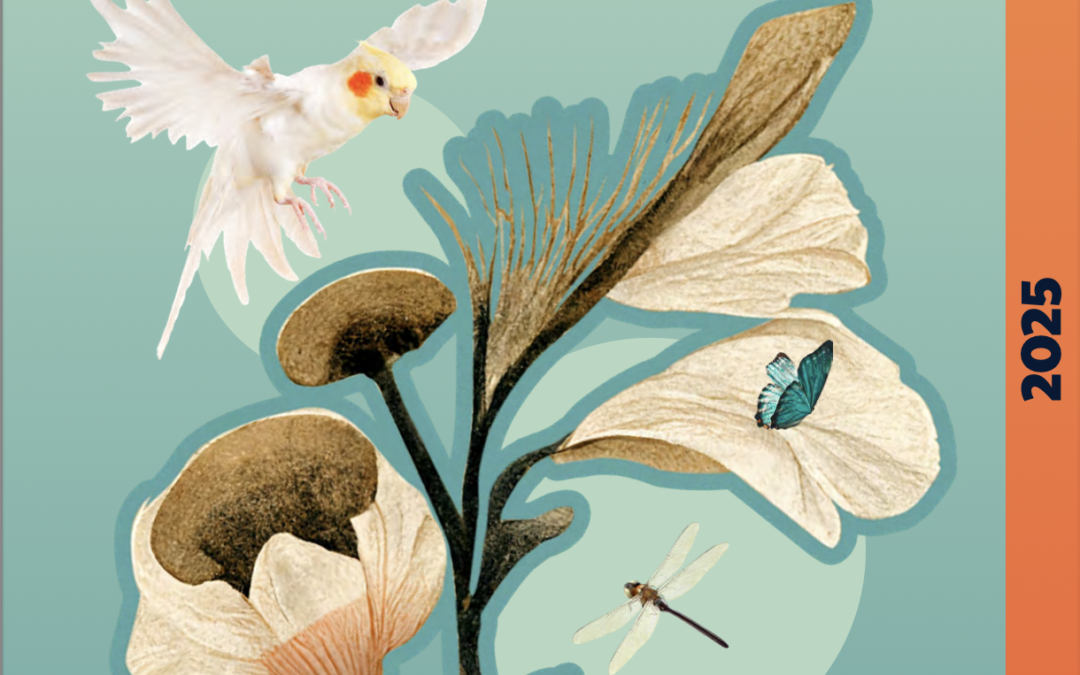 Activity report 2025