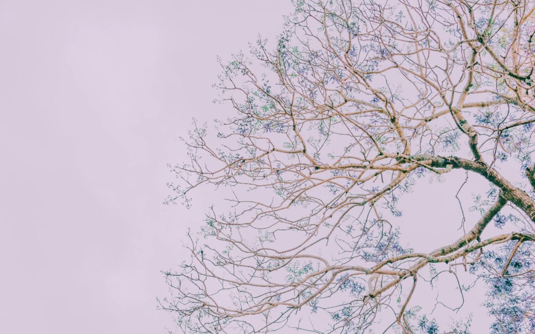 Bottom-up peacebuilding: Recalling the role of culture and micropolitics