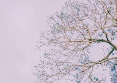 Bottom-up peacebuilding: Recalling the role of culture and micropolitics