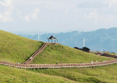 Why we need plural pathways to an ecological future