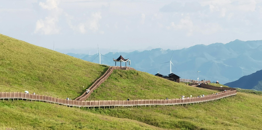 Why we need plural pathways to an ecological future