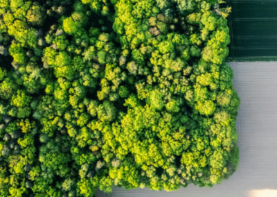 Are we transforming systems or preserving them?